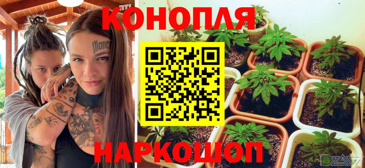 Шишки марихуана семена  Канабис Ganja  Канабис марихуана  Вход с VPN  Жуковский 